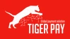 Tiger Pay